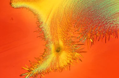 Sodium silicate, light micrograph