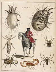 Microscopy