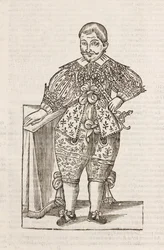 Dwarf of the Most Illustrious D