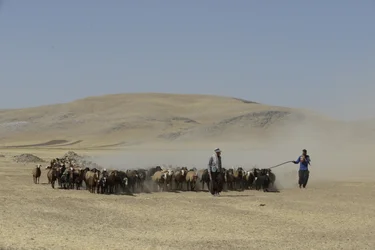 Nomadic Tents Between Tamar and Ashkhaneh, Iran 2022