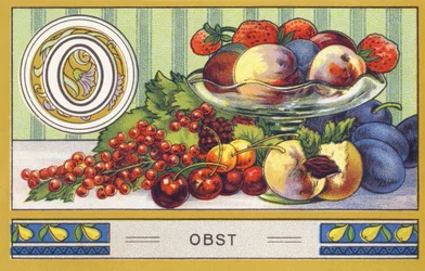 O: Fruit - Alphabet Palmin. Series of chromolithographs published by H. Schlinck & Co, Hamburg. Advertisement for Palmin finest coconut fat. Dimensions: 7 x 11 cm