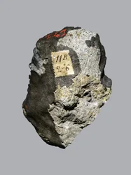 Ordinary chondrite (LL5). Fell in Siena (Italy) in 1794. National Museum of Natural History, Paris.