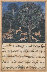 Page from Tales of a Parrot (Tuti-nama): Fifth Night: The Parrot Mother Cautions Her Young on the Danger of Playing with Foxes