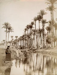 Palm Trees Along the River Nile. In the Foreground Men in Traditional Costume