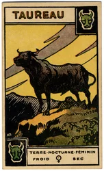 Paranormal. Astrology. Taurus (the Bull). Astrologic Card from: Le Tarot Astrologique, by Georges Muchery, France