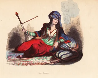 Persian Lady