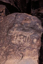 Petroglyphs depicting animals and characters - Petroglyph National Monument - Albuquerque, New Mexico, USA