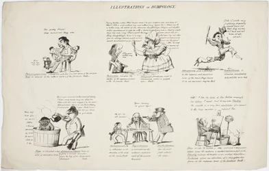 Phrenology Illustrations of Bumpology