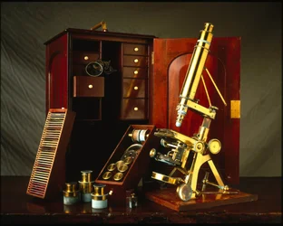 Powell and Lealand brassware microscope with a wooden box and various accessories