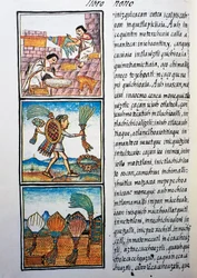 Processing feathers, text in Nahuati, from facsimile of manuscript General History of Things of New Spain, also known as Florentine Codex, by Bernardino de Sahagun