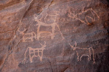 Rock art, Prehistory: Engraving of a set of cattle in the Uweinat massif, Egypt