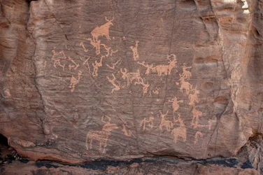 Rock Art, Prehistory: Engraving of Cattle, Ostriches, and Characters in the Uweinat Massif, Sudan (8000 to 3000 BC)