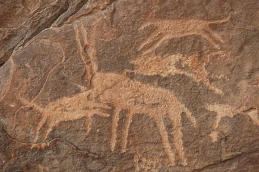 Rock art, Prehistory: Engraving of an antelope attacked by a pack of dogs in the Uweinat massif, Egypt (Period from 8000 to 3000 years BC). Photography