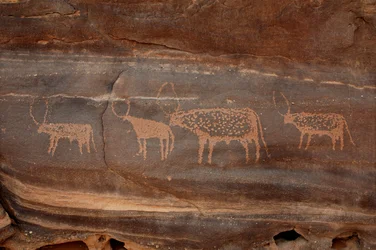 Rock art, Prehistory: Engraving of four cattle in the Uweinat massif, Sudan