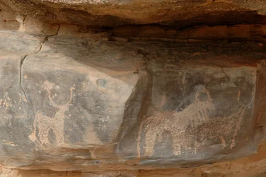 Rock art, Prehistory: Engraving of three cattle in the Uweinat massif, Sudan
