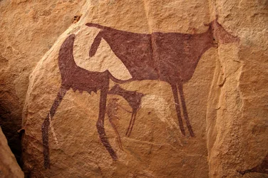 Rock art, Prehistory: Rock painting of a large two-tone cow and its calf in an ornate shelter, in the Uweinat massif, Sudan (Period from 8000 to 3000 years BC). Photography