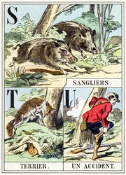 S T U: Boar, Terrier, An Accident - The Hunting Alphabet, c.1890