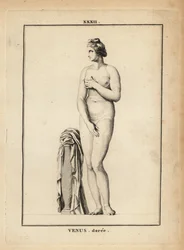 Statue of Venus, Roman Goddess of Love, Beauty, Sex and Fertility