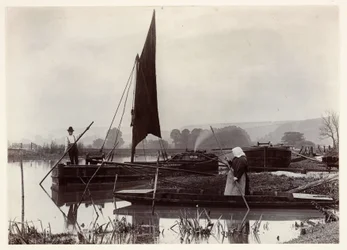 The Ferry