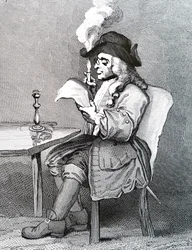 The Politician