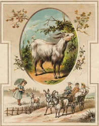 The goat. Engraving in "Mon premier Grand Alphabet". Bernardin-Bechet Edition, Paris, circa 1890