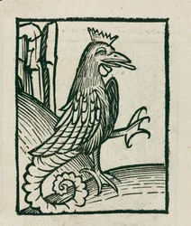 The mythical basilisk