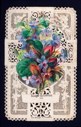 Unknown Image