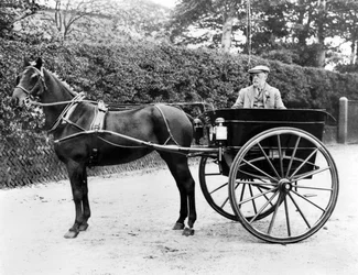 United Kingdom: A Horse and Trap. c1905