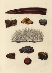 Varieties of Iron Ore