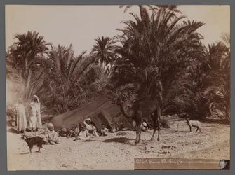 View from a site in North Africa- Nomad Camp