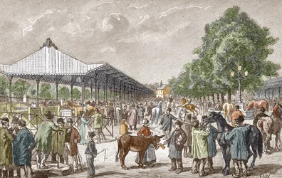 View of the Horse Market in the 5th District of Paris