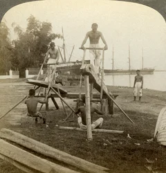 A Filipino Sawmill, Cebu, Philippines