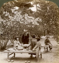 A Family Enjoying a Picnic under the Cherry Blossoms, Omuro Gosho, Kyoto, Japan