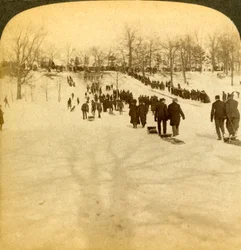 Canadian winter sports - tobogganing