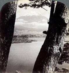 Mount Fuji, Seen from the Northwest, Through Pines at Lake Motosu, Japan