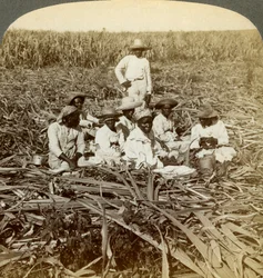 On La Union Sugar Plantation, San Luis, Santiago Province, Cuba