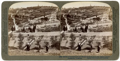 The Garden of Gethsemane and the Mount of Olives, Palestine, 1908