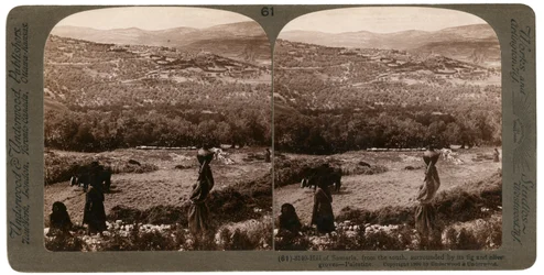 The Hill of Samaria, from the South, Surrounded by Its Fig and Olive Groves, Palestine