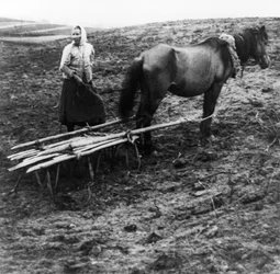 A Peasant Woman with Horse Tilling the Soil on a Farm in Voronovo Village on the Volga in Pre-Revolutionary Russia, 1900