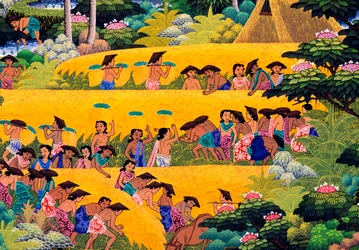 Rice Harvest, Bali