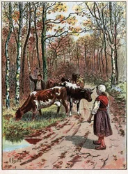 Herd of Cows