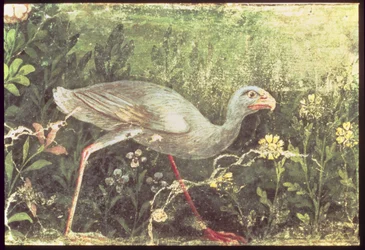 Wall Painting of a Sultan Chicken in a Garden, Pompeii