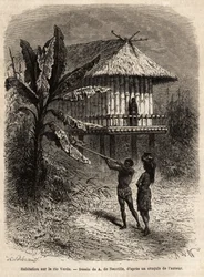 A couple of Indians from Rio Verde (Brazil) the man with his sarbacan, in front of a typical house on stilts. Engraving to illustrate the voyage to New Granada, by Dr. Saffray, in 1869, published in 