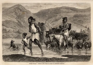 A family of Kabyle shepherds crosses the wadi Djema to go to the Beni Menguellet march, the most important in the region; the head of the family ventures first, followed by his family and his herd, the sheep first and after them the bulk of the cattle. Eng