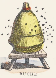 A: Hive