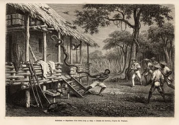A python entered the space of the traveler and narrator, while all present people set themselves apart to protect themselves, the snake is expelled by one of the servants who, after failing with the lasso, grabbed him by the tail. Engraving to illustrate t