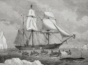 A Whaler with Boat Fast to a 