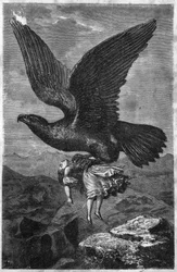 Abduction of a child by a royal eagle