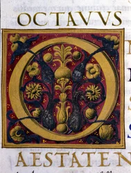 Alphabet: miniaturized letter O