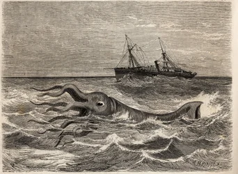 An 18-Foot Giant Octopus Seen in the Ocean